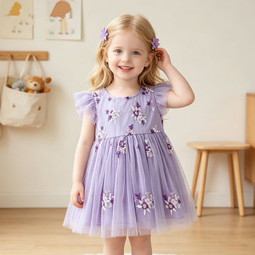 11623693