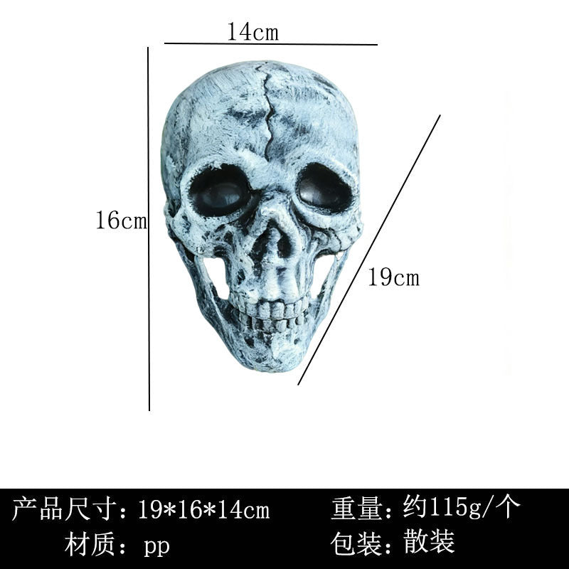 11687348