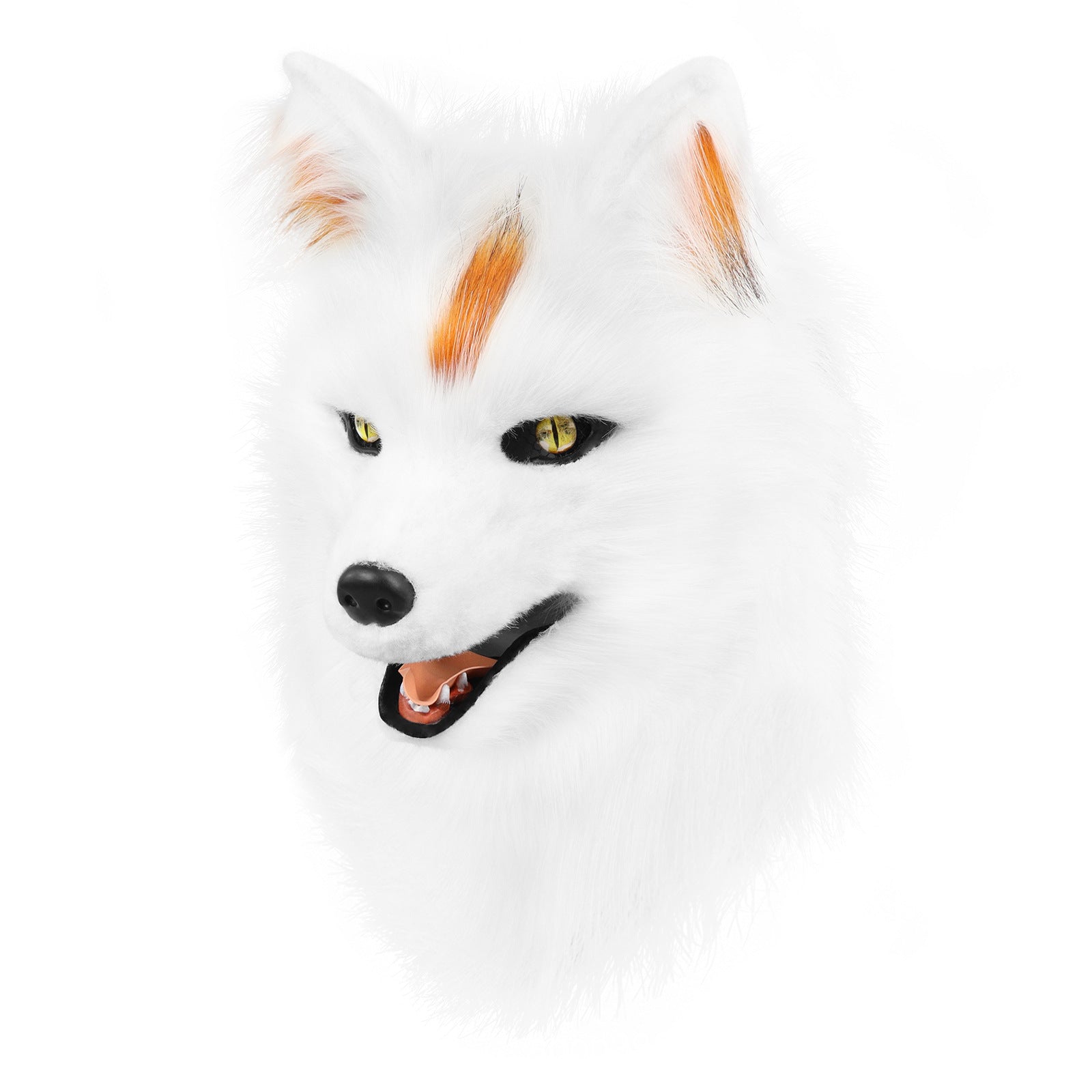 11669325